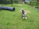 Thumbs/tn_Bild 042.jpg